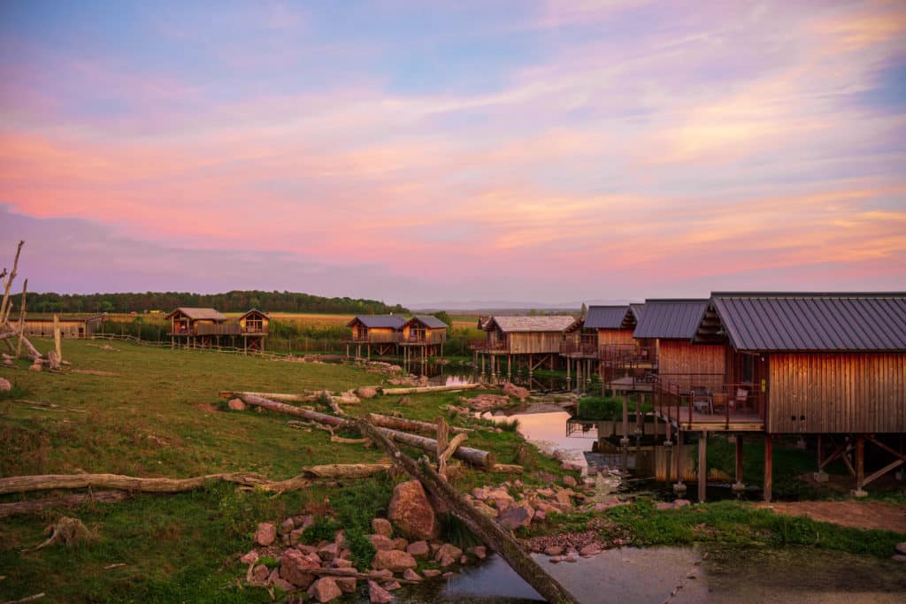 Photo de la vue d'une des lodges du Parc Animalier de Sainte-Croix 