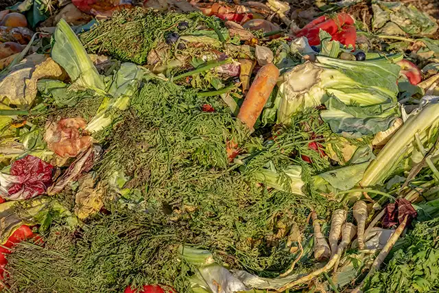 collecte-biodechets-valo-compost L'entreprise VALO'Propreté qui s'occupe du nettoyage de vos bureaux entretien vos sols et surfaces